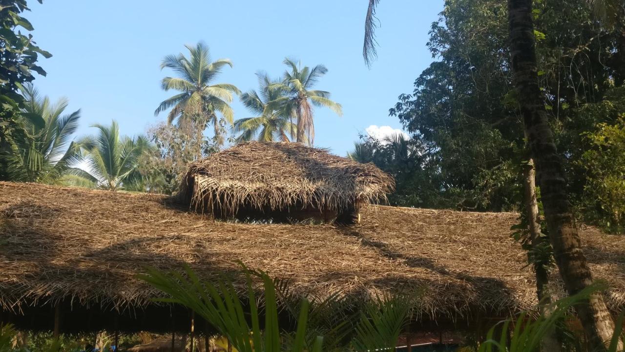Kings Villa Resort Palolem Extérieur photo